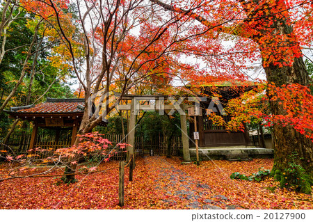 京都仁沙寺 20127900