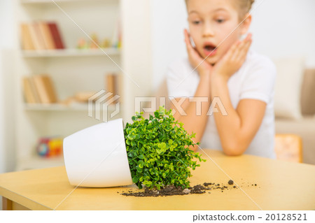 Broken flowerpot and surprised girl. Broken flowerpot and surprised girl. 20128521