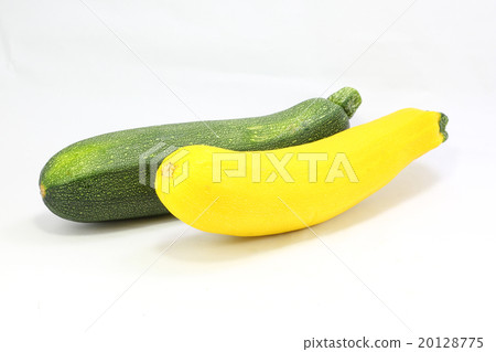 Zucchini Vegetable Fresh Ripe Zucchini Vegetable Fresh Ripe 20128775