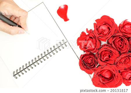 Women's hand writing on notebook  20131817