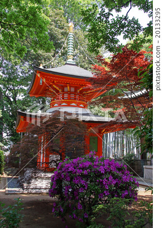 Aizenin Aizenin 20133295