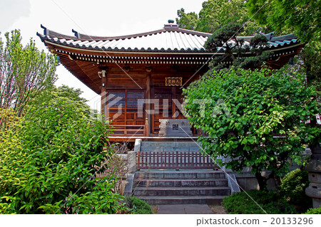 Aizenin Aizenin 20133296