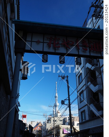 Hanayashiki街的天空樹 Hanayashiki街的天空樹 20133424