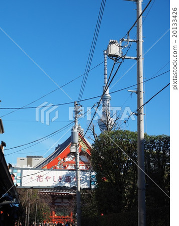 Hanayashiki街的天空樹 Hanayashiki街的天空樹 20133426