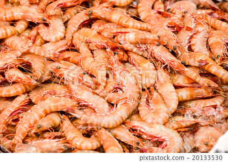 Prawn shrimp 20133530