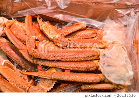 松葉蟹，肩膀 20133536