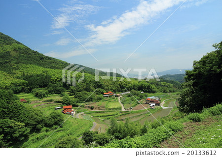在山口的Ogata區的水稻梯田 在山口的Ogata區的水稻梯田 20133612