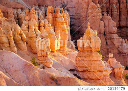Bryce Canyon 20134479
