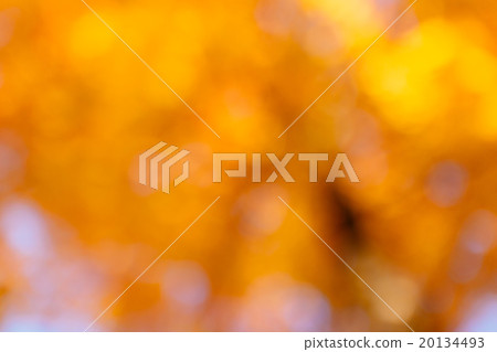 Yellow Bokeh. 20134493