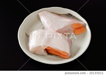 紅狐狸用魚卵 紅狐狸用魚卵 20135011