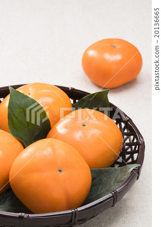 persimmon persimmon 20136665