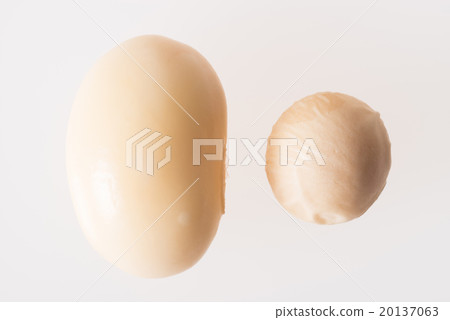 Size comparison between boiled soybeans and dried soybeans 20137063