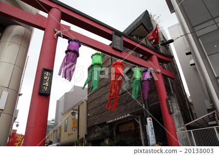 Kamakura的Komachi dori Kamakura的Komachi dori 20138003