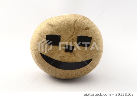 離褶傘先生 20138102