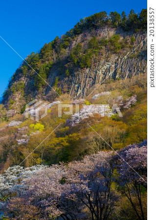 Pillar-like joint of the folding roof garden with mountain cherry trees in full bloom 20138557