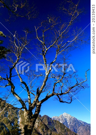 Overlooking Kai Komagatake from the middle of the Phoenix Miyama / Yando mountain climbing road 20139433