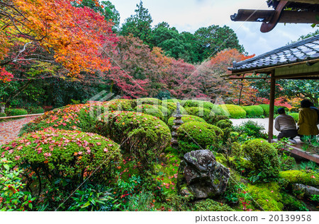 Kyoto Shiseido 20139958