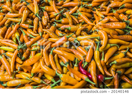 Orange chili peppers, closeup view 20140146