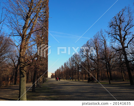 Tree trees 20141635