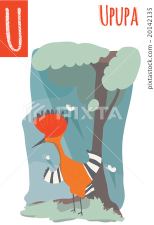 Upupa with woods background staing near tree 20142135