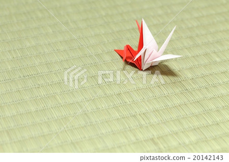 Renjin Renjin 20142143