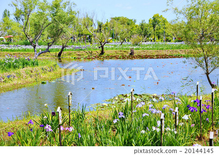 Mizuto Sawara 20144145