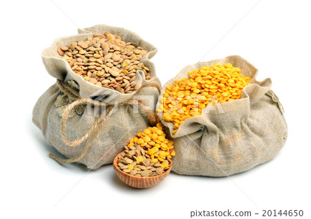 lentils in sacks isolated on white lentils in sacks isolated on white 20144650