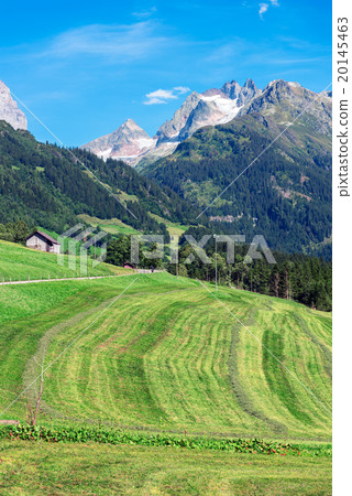 Swiss mountains with green land landscape 20145463
