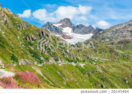 View to Steingletcher mountain in Swiss Alps View to Steingletcher mountain in Swiss Alps 20145464