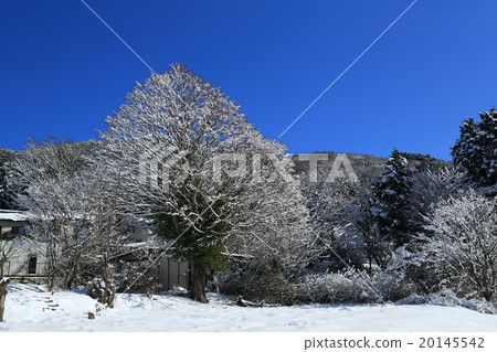 Winter scenery 20145542