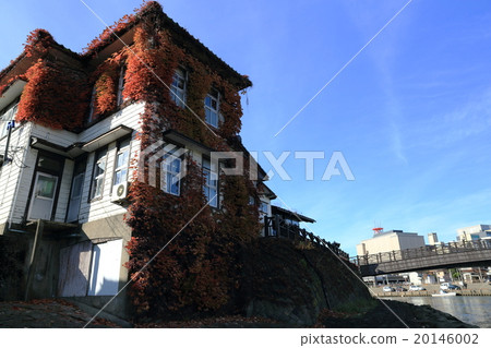 Sakata Yamao倉庫4 Sakata Yamao倉庫4 20146002