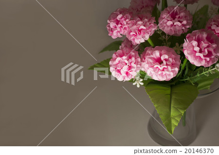 Beautiful pink flowers on grey background Beautiful pink flowers on grey background 20146370