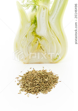 茴香和茴香籽：茴香球莖和茴香籽 20146496