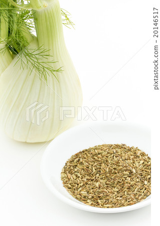 茴香和茴香籽：茴香球莖和茴香籽 20146517