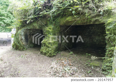 Mandolida toyura group tokura 20147957
