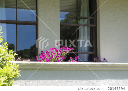Western-style window 20148394
