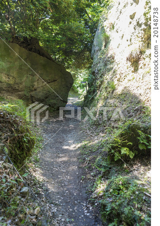 Nagoshi cut all the way through 20148738