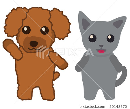 russian poodle puppies