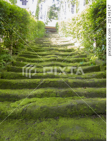 Stairs of moss of Sugimoto-ji Stairs of moss of Sugimoto-ji 20149147
