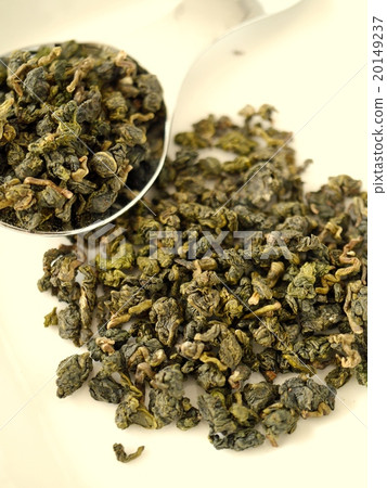 阿里山金雅茶白色葉子白色背景 20149237