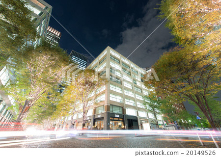 Tokyo Marunouchi Illuminations (2015-2016) Tokyo Marunouchi Illuminations (2015-2016) 20149526