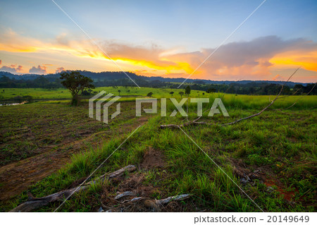 mountain scenery sunset at Thung Salang Luang mountain scenery sunset at Thung Salang Luang 20149649