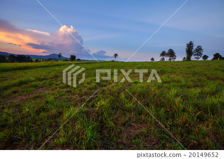 mountain scenery sunset at Thung Salang Luang mountain scenery sunset at Thung Salang Luang 20149652