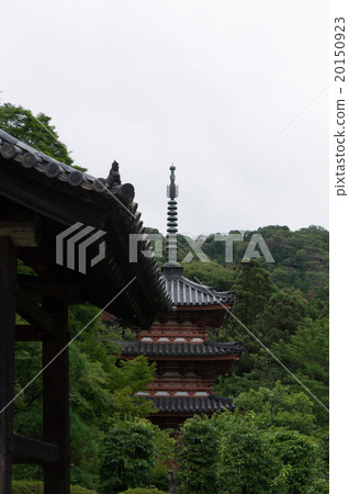 The triple tower of Kyoto Mimurotoji 20150923