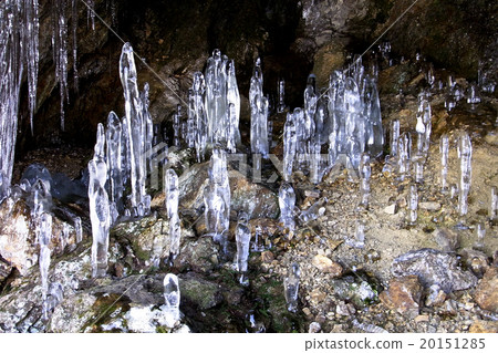 龍山冰筍 20151285