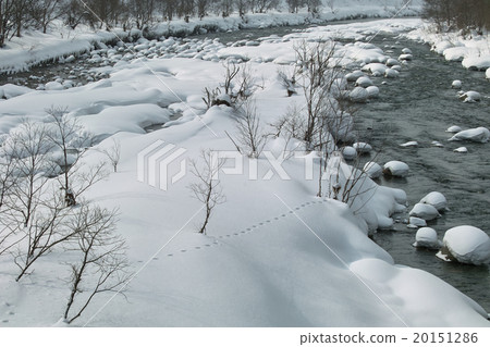Inunegawa冬天場面 Inunegawa冬天場面 20151286