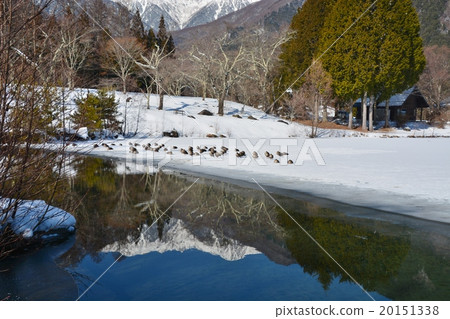 冬天的景色 20151338