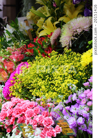 Flowers Flowers 20151416