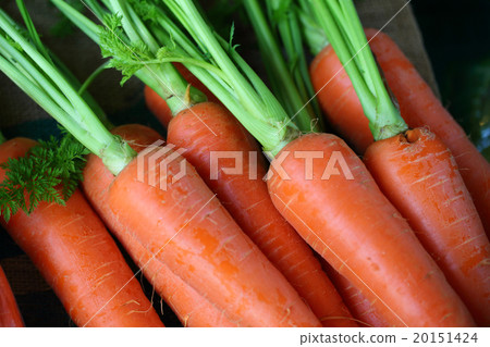 Carrots Carrots 20151424