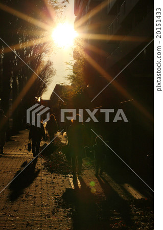 Evening landscape Evening landscape 20151433